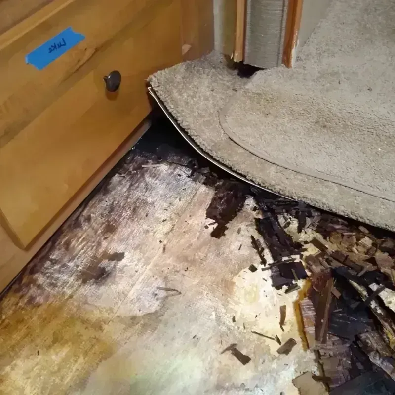 Wood Floor Water Damage in Ness City, KS